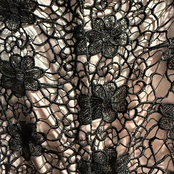 Bettie Page by Tatyana Elegant Lace Overlay Dress in Black and Beige - Picture 7 of 8